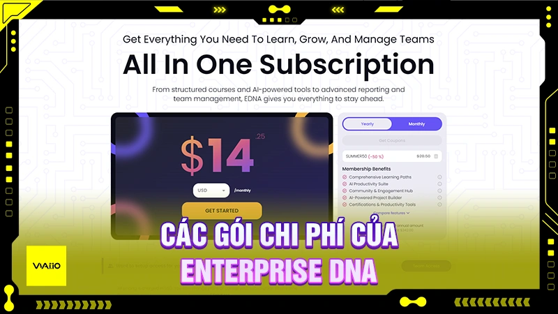 Các gói chi phí của Enterprise DNA