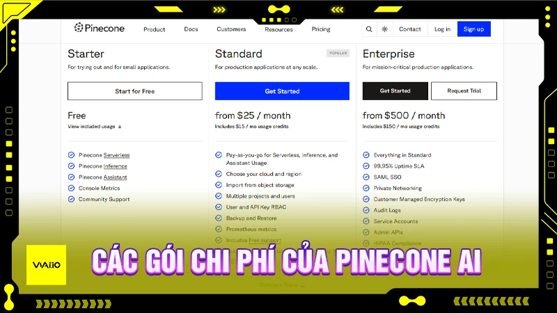 Các gói chi phí của Pinecone AI