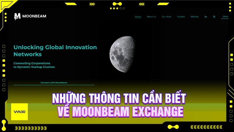 Những thông tin cần biết về Moonbeam Exchange
