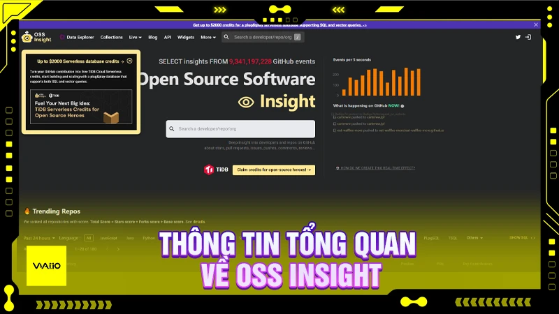 Thông tin tổng quan về OSS Insight