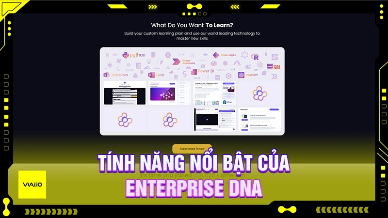 Tính năng nổi bật của Enterprise DNA