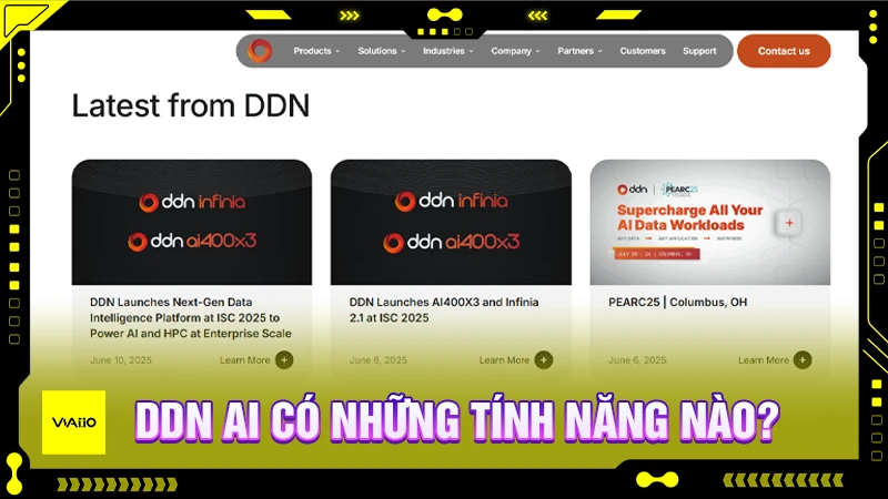 DDN AI có những tính năng chính nào?