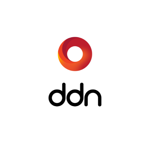 DDN AI