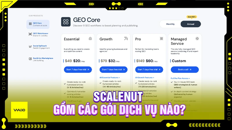 Các gói dịch vụ của Scalenut AI