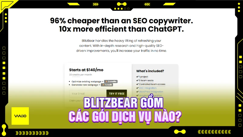BlitzBear gồm các gói dịch vụ nào?