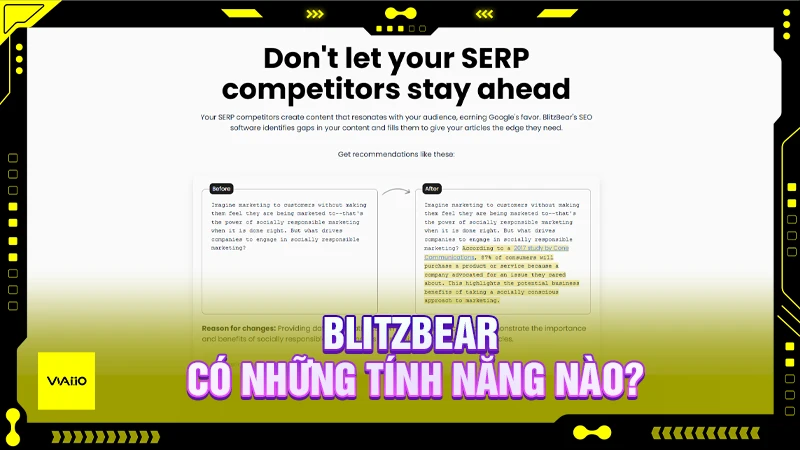 BlitzBear có những tính năng nào?