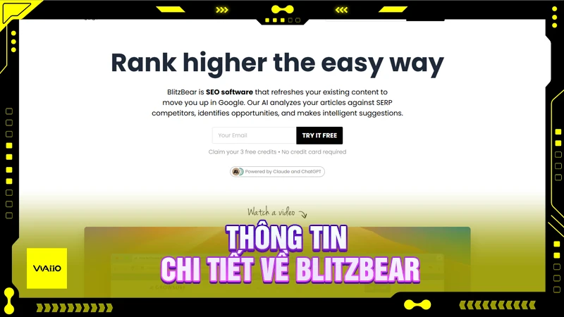 Thông tin chi tiết về BlitzBear