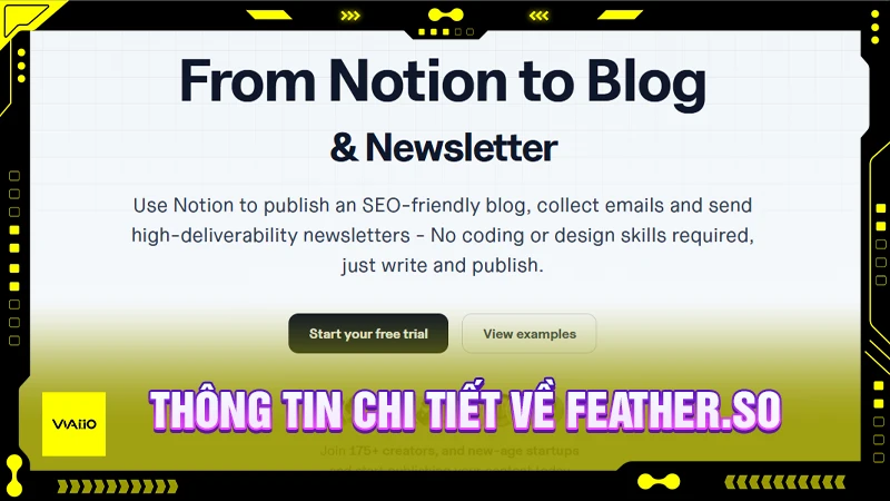 Thông tin chi tiết về Feather.so
