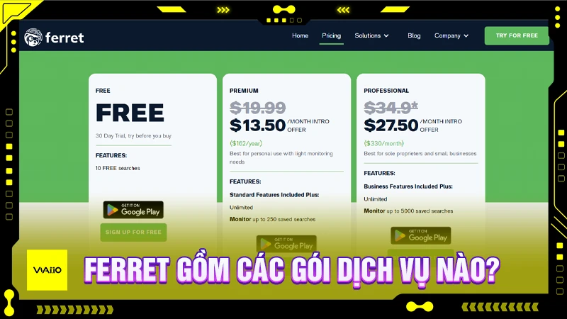 Ferret và các gói dịch vụ