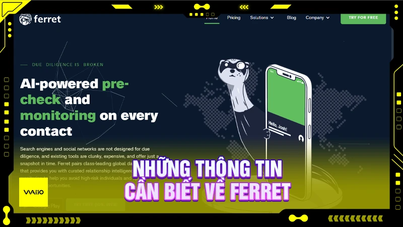 Những thông tin cần biết về Ferret