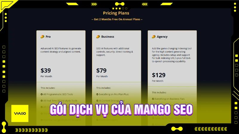 Mango SEO và các gói dịch vụ