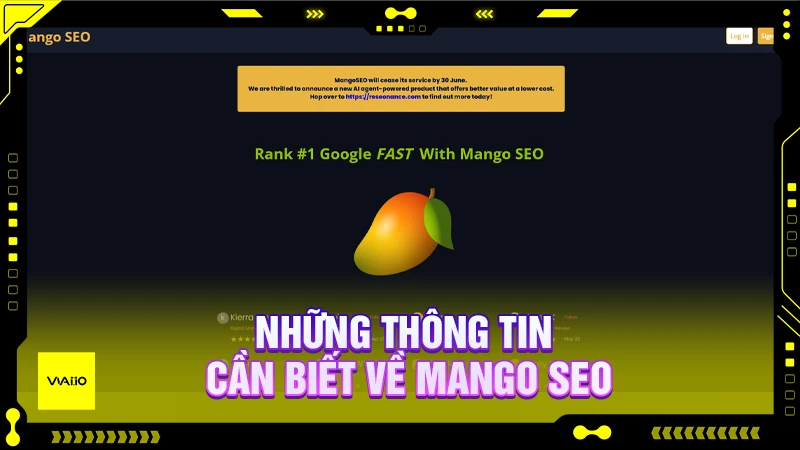 Mango SEO và các thông tin cần biết