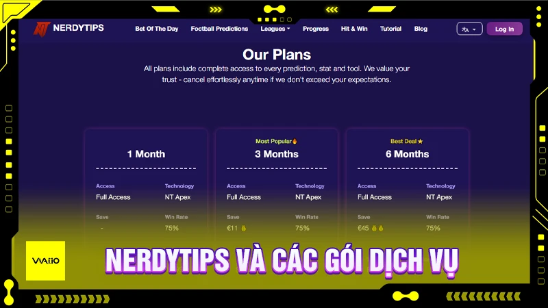 NerdyTips AI và các gói dịch vụ